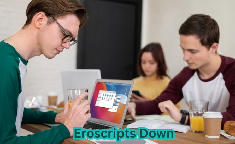 eroscripts down