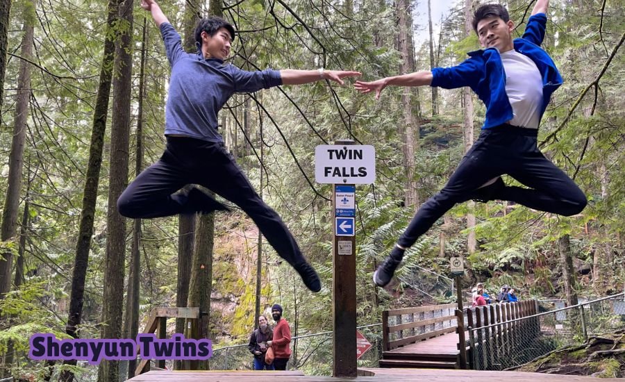 shenyun twins