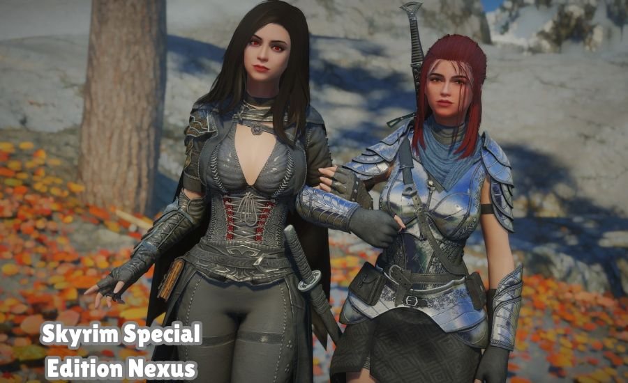 skyrim special edition nexus