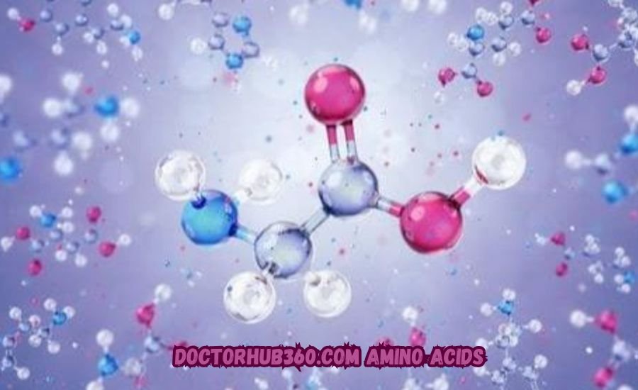 doctorhub360.com amino acids